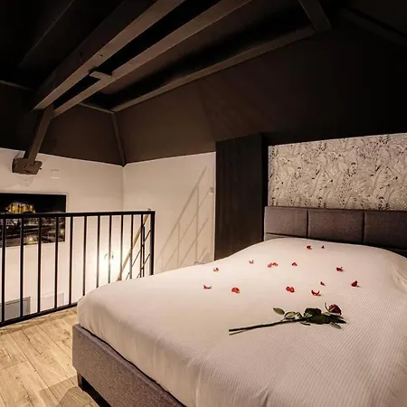 Le Loft Au Coeur De Appartement Metz