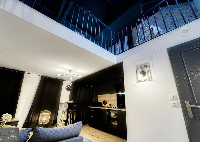 Appartement Le Loft Au Coeur De *