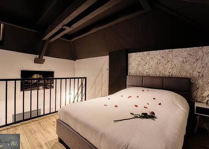 Le Loft Au Coeur De Appartement Metz